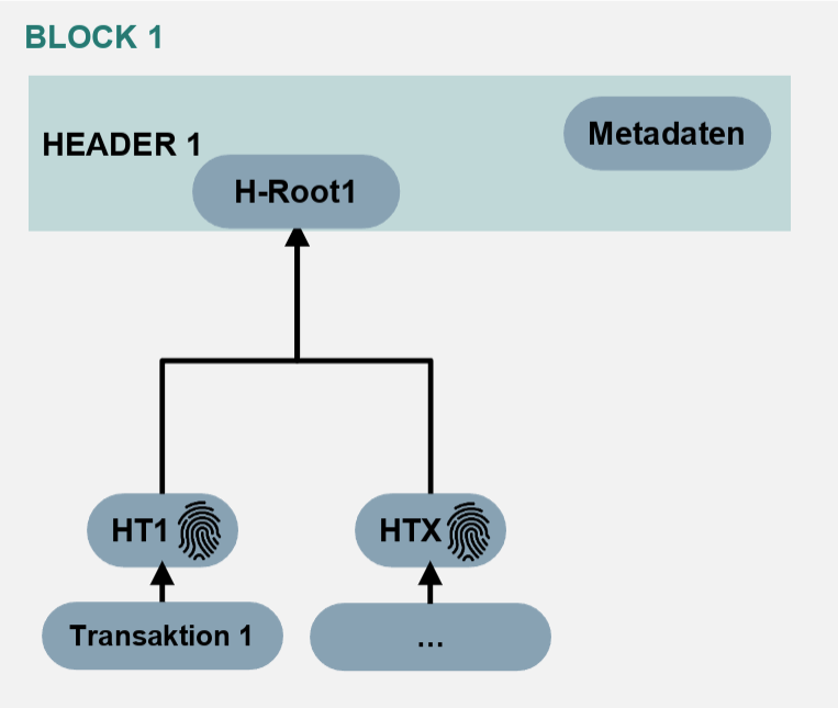 images/DatenstrukturEinerBlockchain/Datenstruktur einer Blockchain4.png